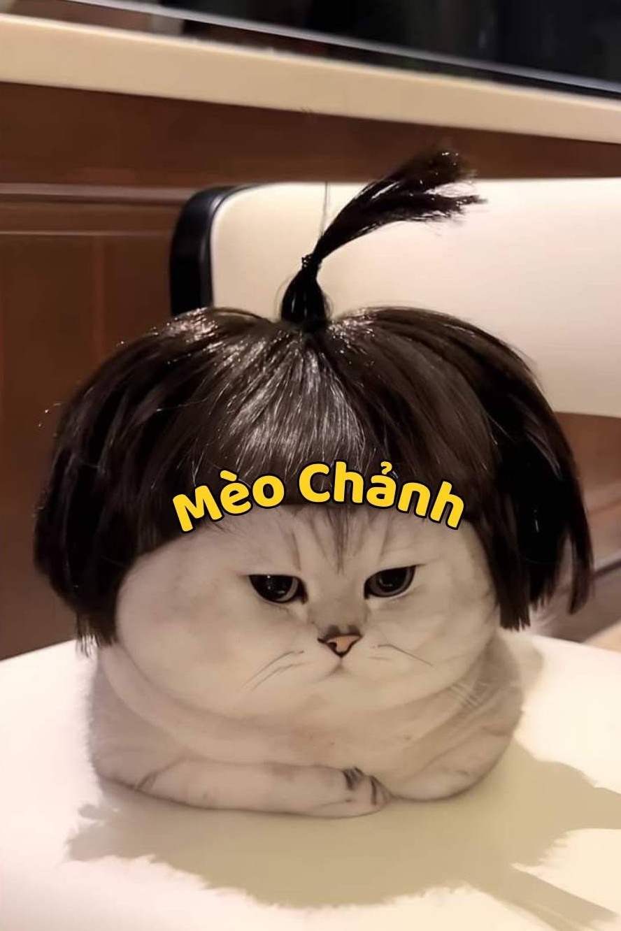 Meo Meo TV