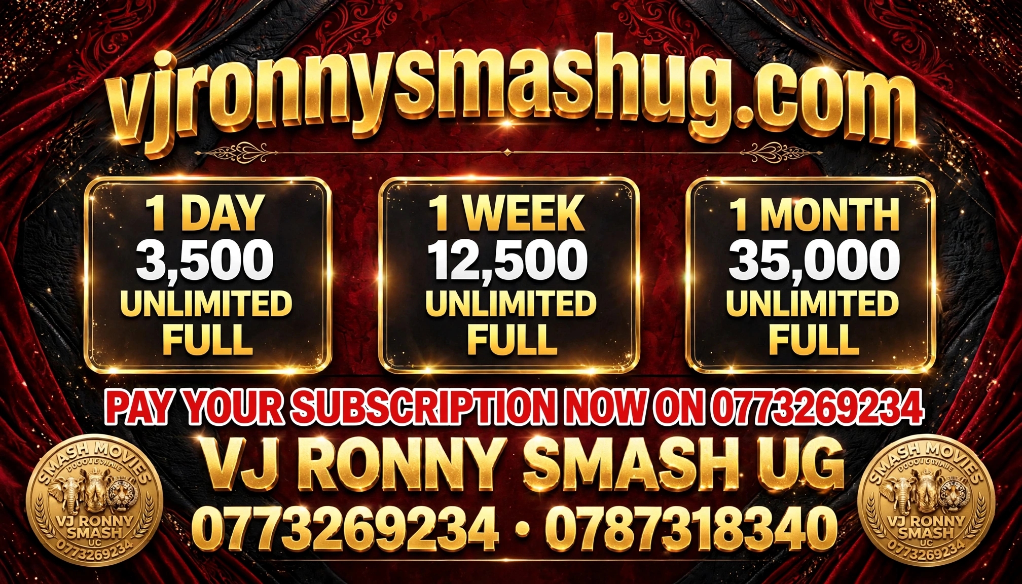 vjronnysmashug.com