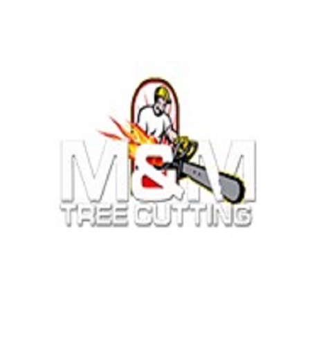 Tree Cutting and Removal at Discounted Price